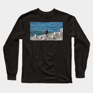 Double-crested Cormorant and a Flock Of Gulls Long Sleeve T-Shirt